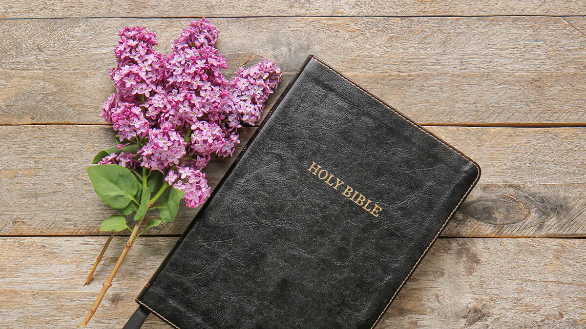Womens Bible Study Madison Church in Phoenix Arizona